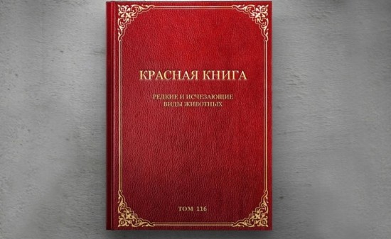 10 интересных фактов о Красной Книге — СТО ФАКТОВ